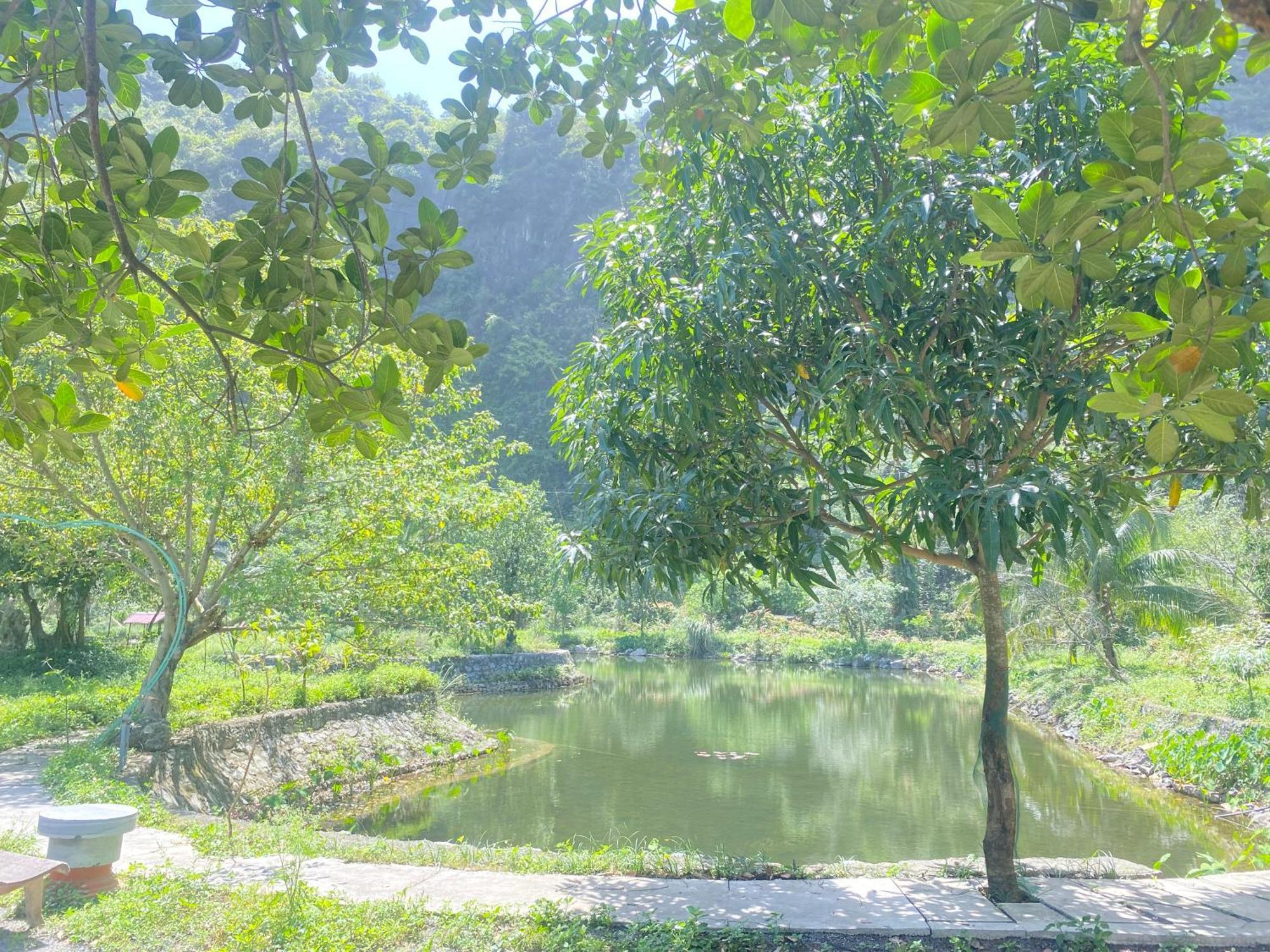 Tam Coc Moutainside Homestay Ninh Binh Zewnętrze zdjęcie